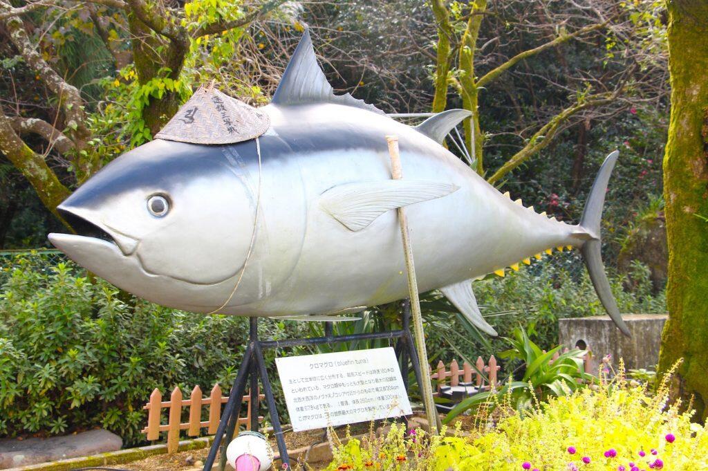 マグロを知り尽くしたプロが作る美味しいマグロ商品