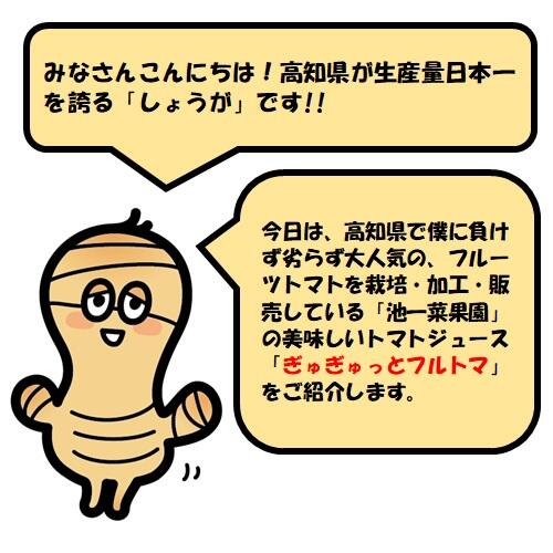 高知県はフルーツトマト発祥の地といわれており、県内各地で様々なブランドトマトが栽培されています。