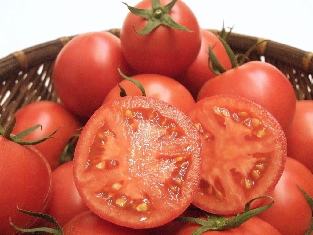 フルーツトマトとは、トマトの品種ではなく、糖度が8度以上のトマトを総称した呼び名