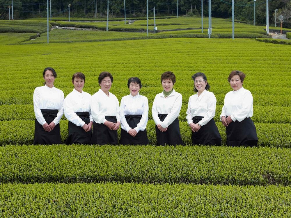 茶畑で働く茶家農家たちの集合写真/仁淀川町