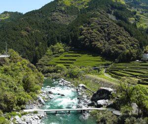 高知市内から車で約1時間。その名のとおり、清流・仁淀川が流れる仁淀川町