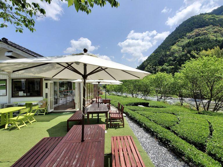 目の前には茶畑と仁淀川!絶え間ない川のせせらぎと鳥のさえずりに早くも心癒されます
