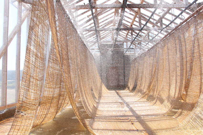 海水を天井から降らせる