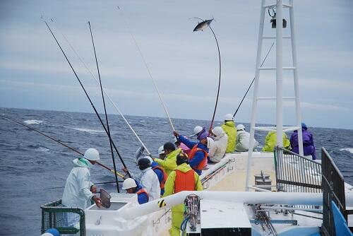 黒潮町佐賀を代表する風景