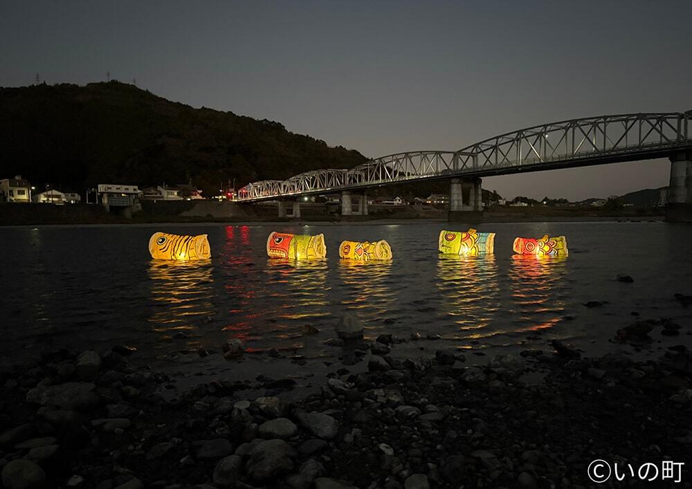 仁淀川を泳ぐライトアップされたこいのぼりの写真