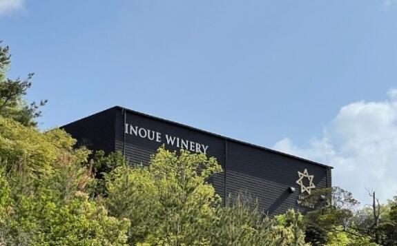 山の上にワイナリー