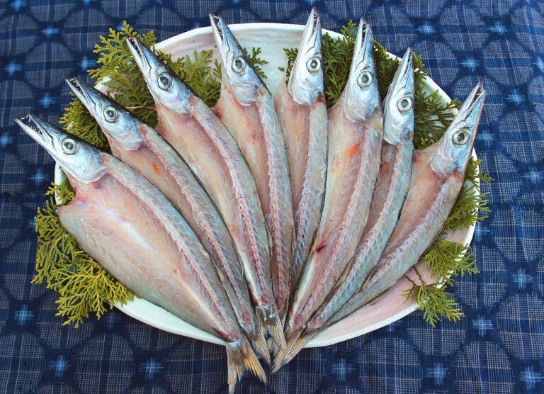 鮮魚と室戸海洋深層水のみで仕上げた極上の干物