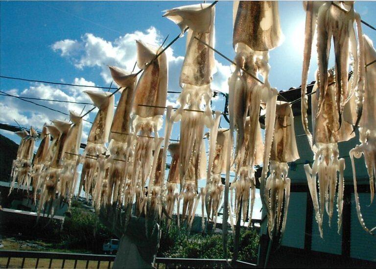 室戸海洋深層水で仕上げた「いずま海産」の極上干物！