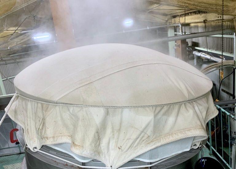 「個性が強い」「香りがすごい」と話題の酵母だったCEL-19