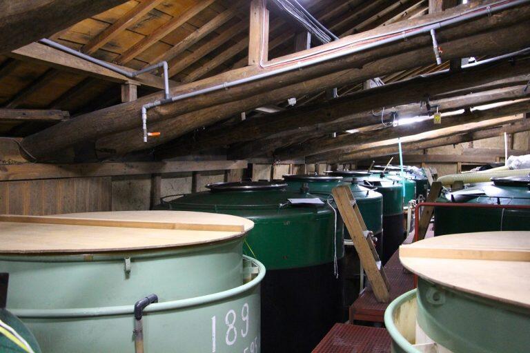 蔵を開く際、江戸時代の頃よりどんな干ばつがあっても枯渇したことのない