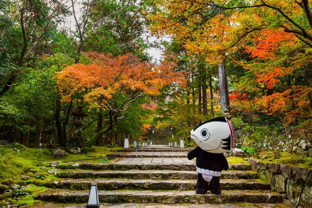 カツオ人間は、フェイスブックやツイッターのほか、インスタグラムやブログでも情報を発信しています