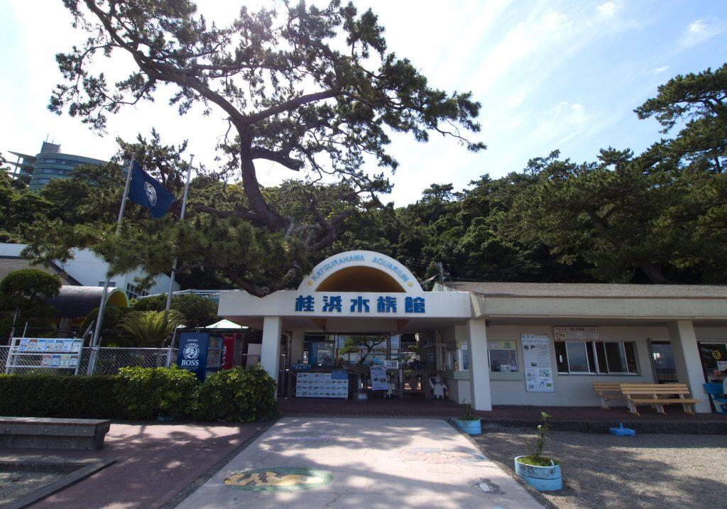 80年以上もの歴史をもつ個性的な水族館「桂浜水族館」