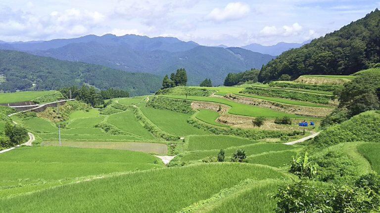 古き良き日本の原風景が色濃く残る自然豊かなエリア