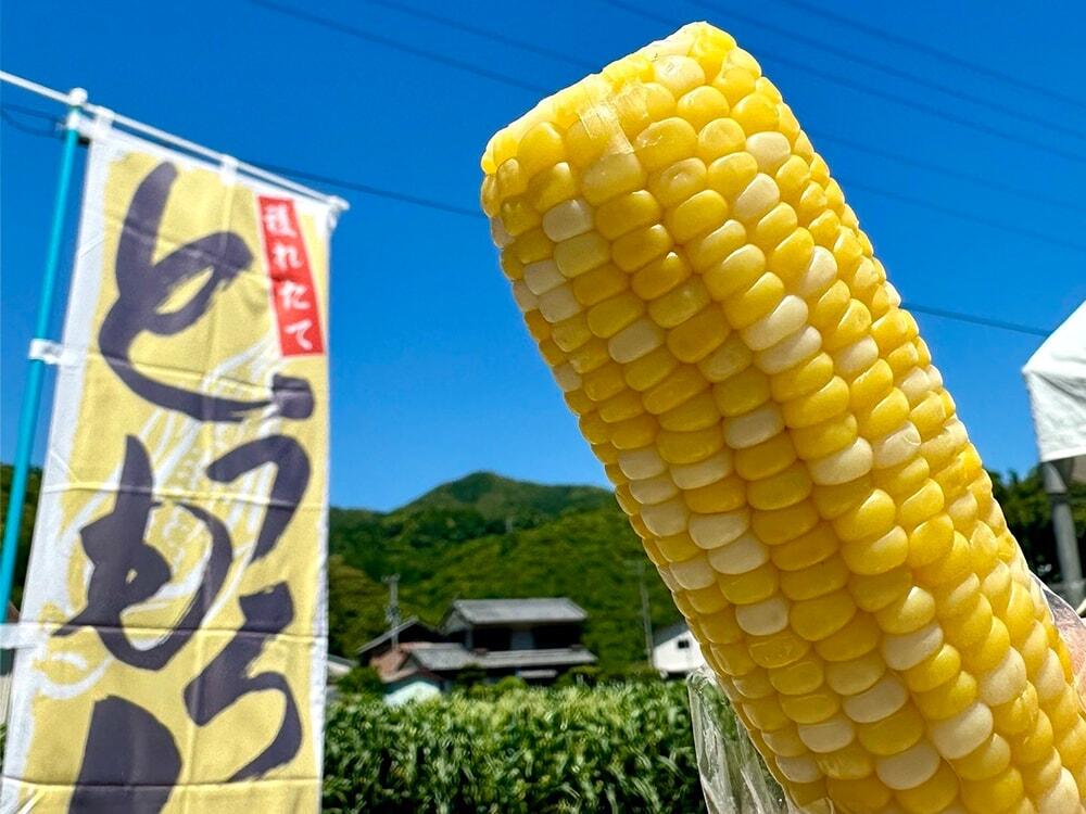 朝どれ新鮮な茹でトウモロコシが楽しめる