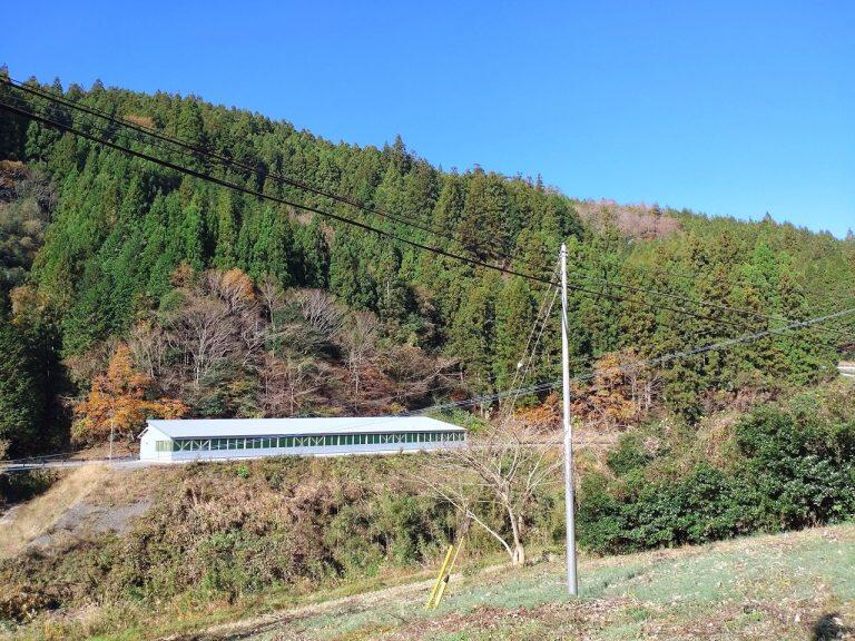 日本最後の清流と謳われている四万十川の原流域、標高約600メートルの自然豊かな山里