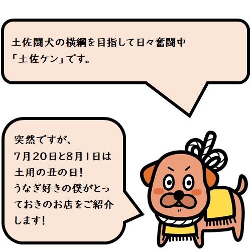 うなぎは食欲不振になりがちな暑い季節にオススメのスタミナ食です。