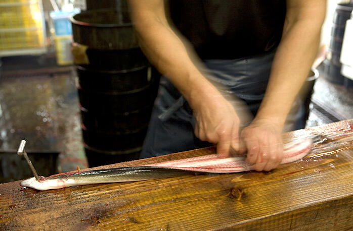 宇佐町の「山本養鰻場」をはじめ、高知県内外の養鰻場から質の良いうなぎだけを厳選!