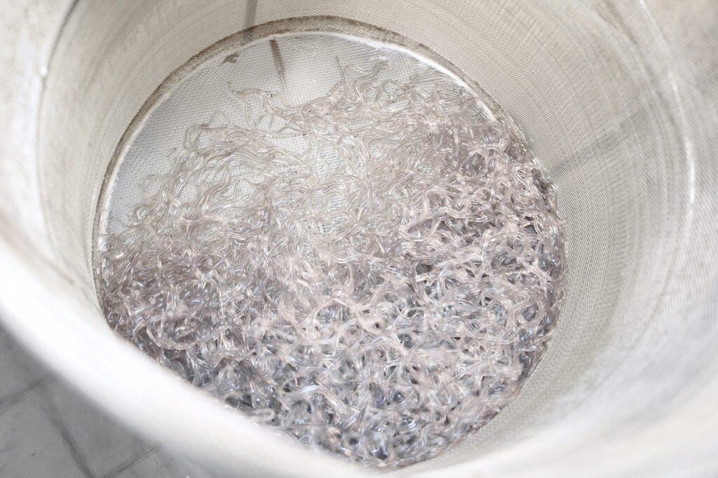 県下３大１級河川の一つの物部川の伏流水で育てています