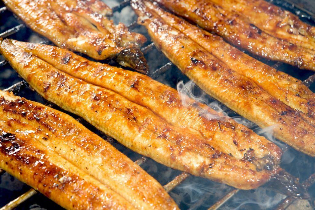 お箸が止まらない！「高知県産うなぎ蒲焼き」でスタミナ補充☆