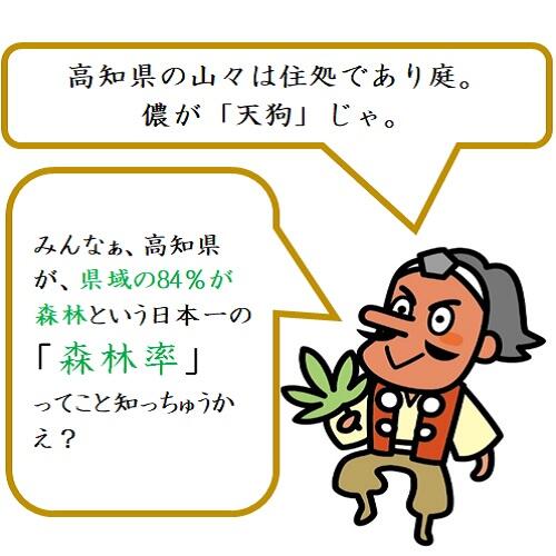 日本一の森林率を「楽しみ」に変える事業