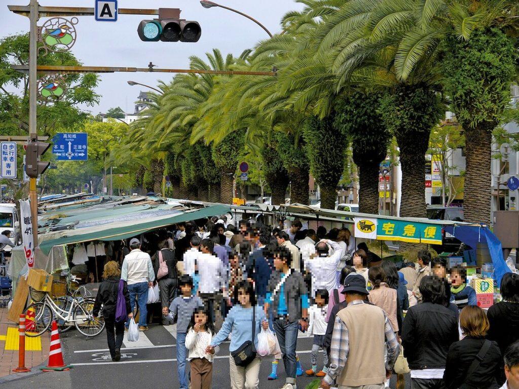 出店者の多くが生産者であるため、栽培方法や調理法、旬の情報まで、いろんな話を聞くこともできますよ。気さくな土佐人との楽しい会話や作り手の顔が見える「安心・安全」な商品が「日曜市」最大の魅力ですね