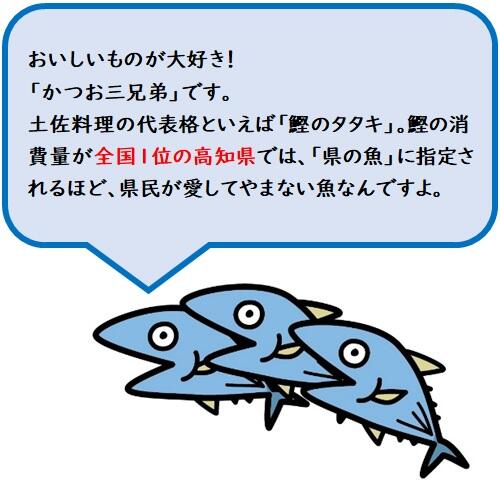 初秋に旬を迎える鰹は、水温の低下に伴い北の海から南下してくるため「戻り鰹」と呼ばれています