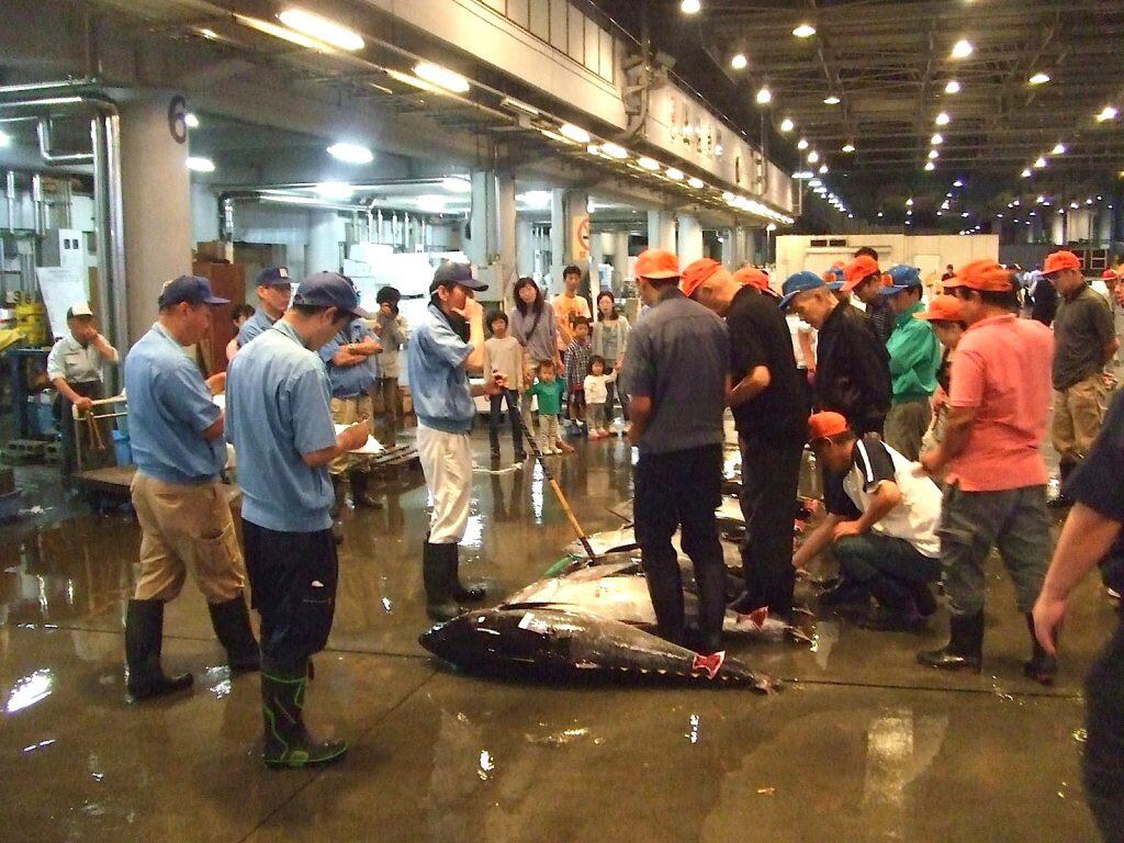 高知市卸売市場の魅力に出会える「市場開放デイ」