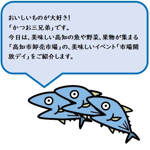 普段はプロの業者さんだけに入場を制限されている市場ですが、毎月一度の「市場開放デイ」には、普段は見学できない早朝の市場の様子を、誰でも見ることができるんですよ!