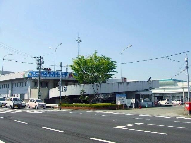 高知市中央卸売市場