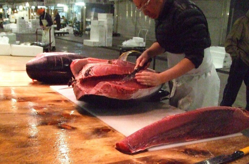 競り後に捌かれるマグロの解体なども見ることができます