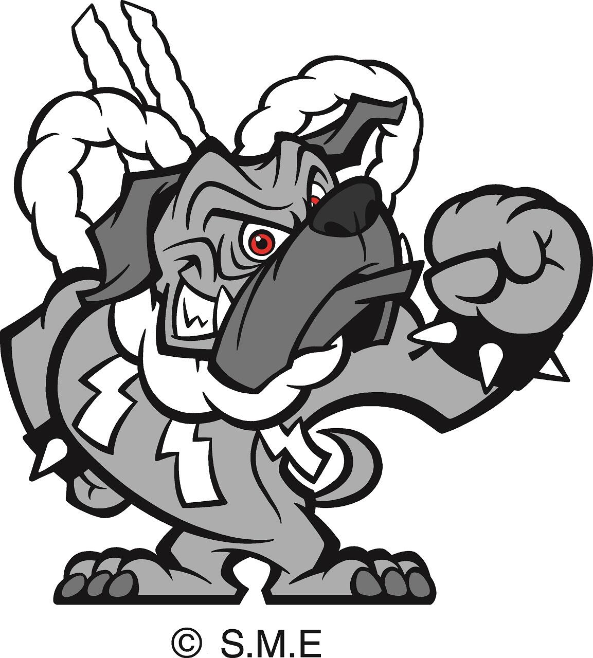 野球界の闘犬「高知ファイティングドッグス」!