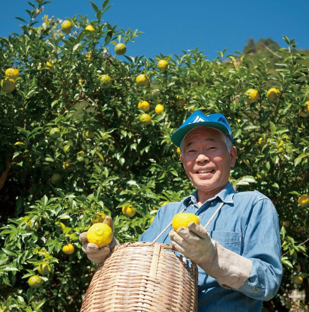シャーベットに使う柑橘類は、「高知アイス」の社員が直接生産者を訪ねて選び抜いたものばかり
