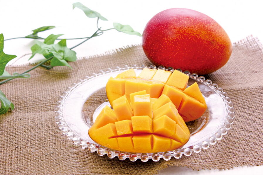 南国・土佐の太陽を浴びて育った「村田農園」の完熟マンゴー