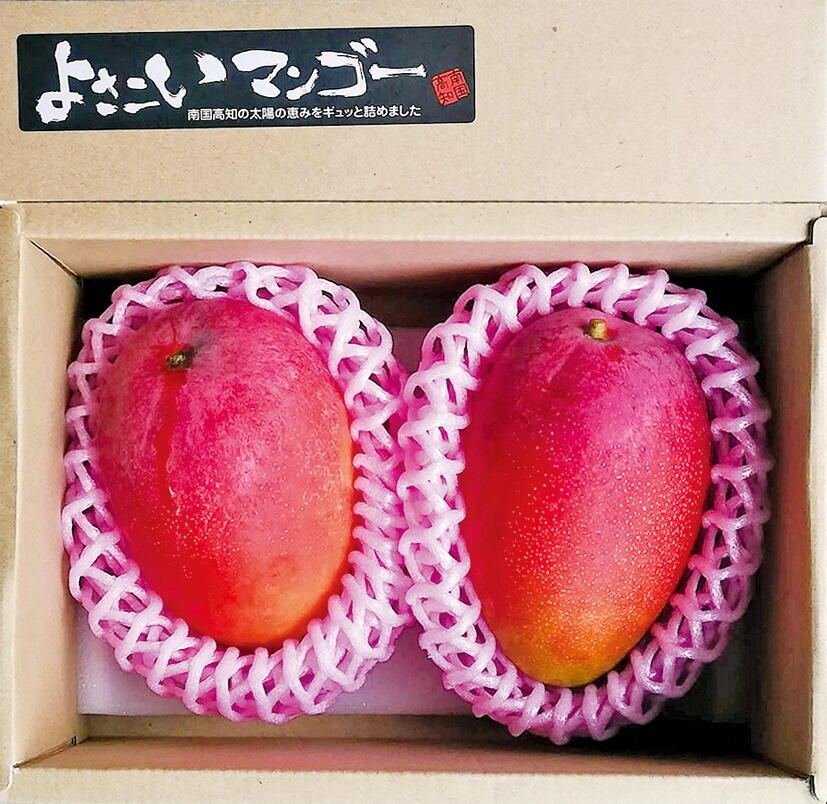 「村田農園」で育てられているのは、その名も「よさこいマンゴー」