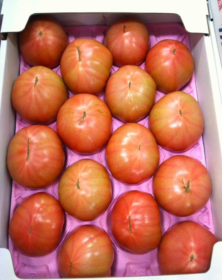 ミネラルトマト