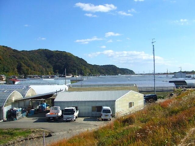 高知市春野町にある「トマトの村」