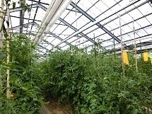 高知市一宮にある徳谷地区