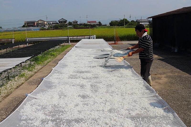 「土佐角弘海産」のちりめんじゃこは、まんべんなく乾燥させるため、その日の天候や風を見ながら、完全手作業で丁寧に天日干しされます。
