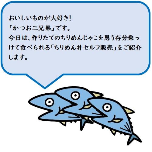 毎週土曜日11時〜14時限定の「ちりめん丼セルフ販売」は、高知県香南市の吉川漁港の目の前で海産物の加工・販売を行っている「土佐角弘海産」が、自慢のちりめんじゃこの美味しさを、その場で味わってもらいたいとの思いからスタートしました。