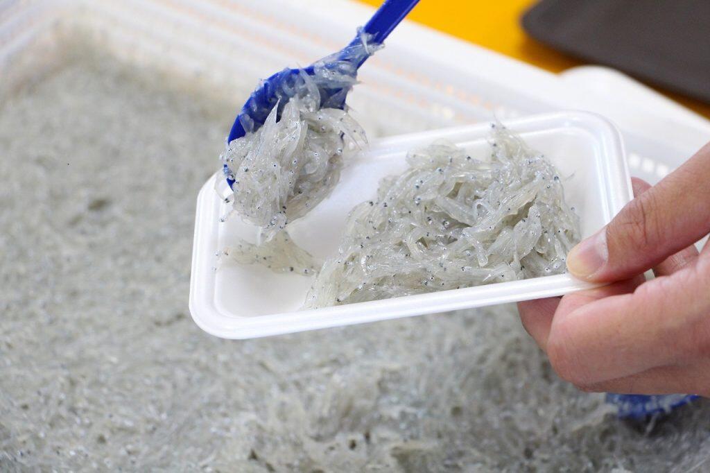 乗せ放題のちりめんじゃこは、釜出ししらす・天日干しちりめん・しっかり干したかちり・イカ入りちりめんなど、その日に美味しい2〜3種が登場。