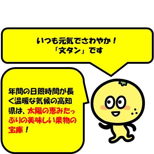 「土佐の高知のくだもの畑」の爽やか小夏!