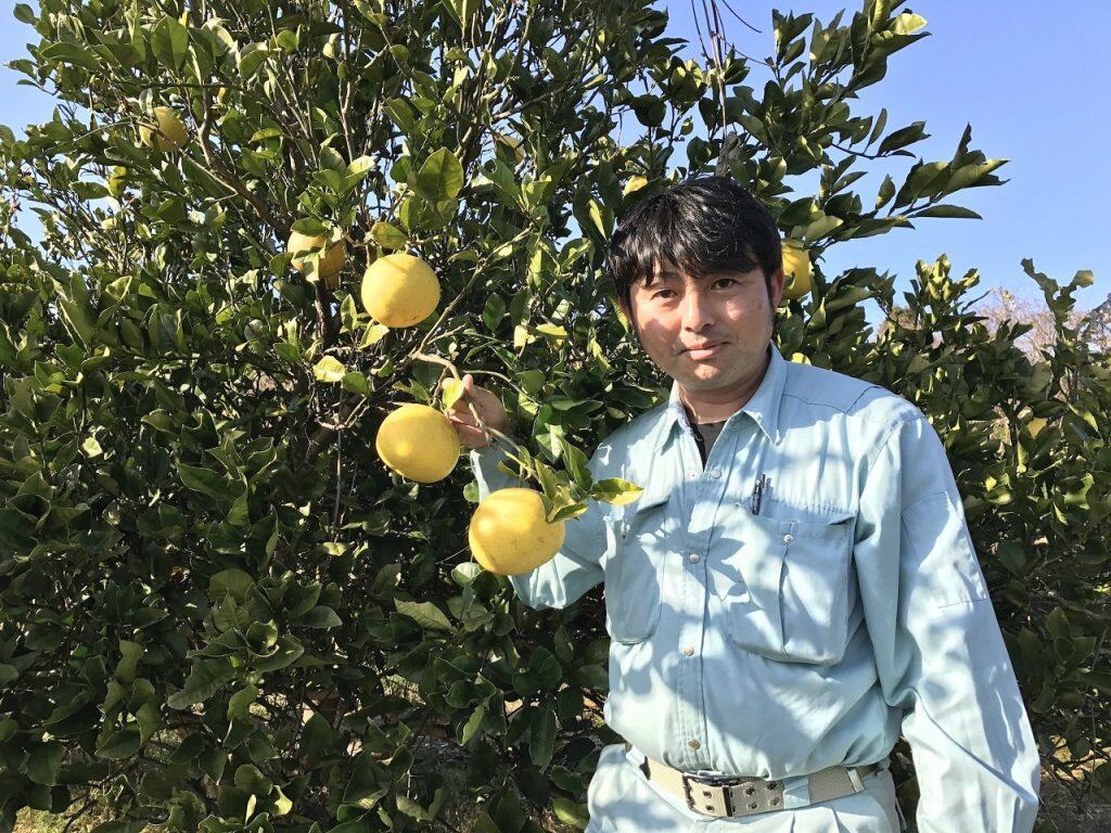 「土佐の高知のくだもの畑」は果物に風や太陽の光が均等にあたる、小高い丘の上の平地にあるため、品質が揃いやすく、山間地特有の昼夜の寒暖差により美味しさがギュッと凝縮した果物に育ちます