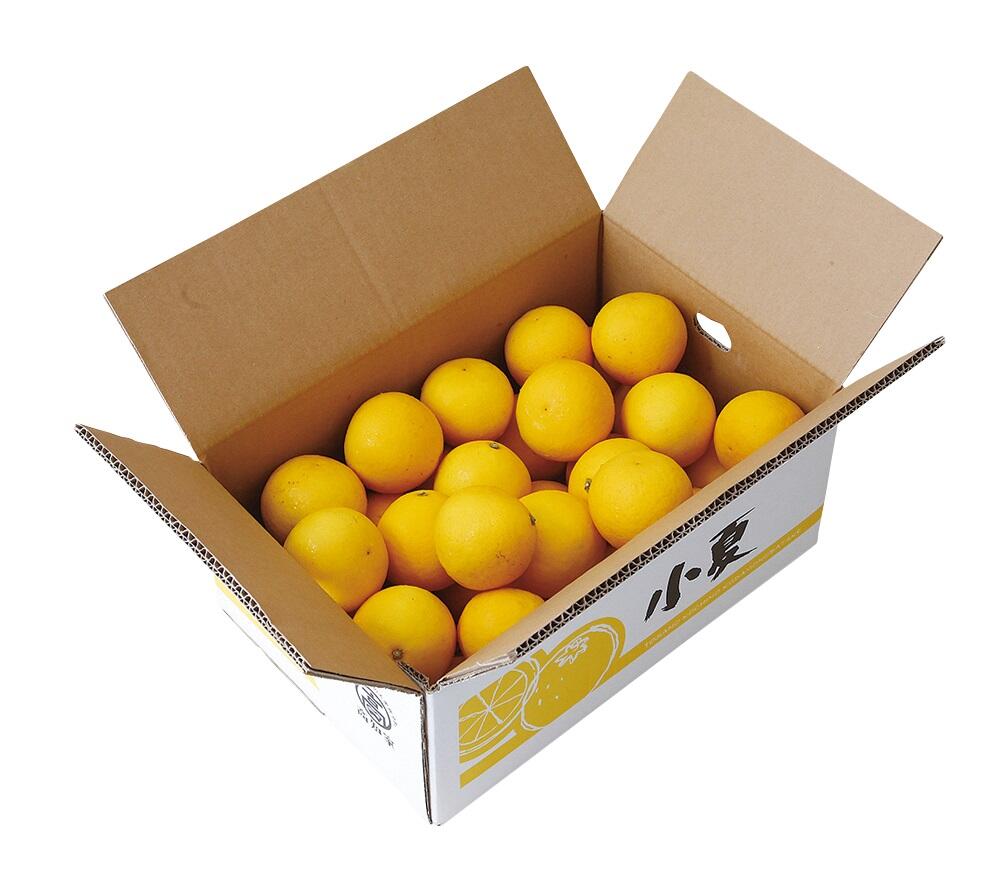 「土佐の高知のくだもの畑」の小夏は、毎年4月中旬に収穫時期を迎え、初夏の訪れを告げる果物として高知県民に親しまれています