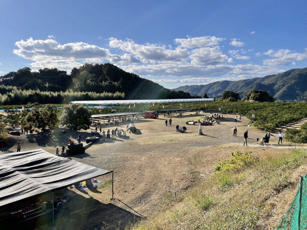 「土佐の高知のくだもの畑」では、10月初旬〜12月中旬頃に毎年人気のみかん狩りも実施