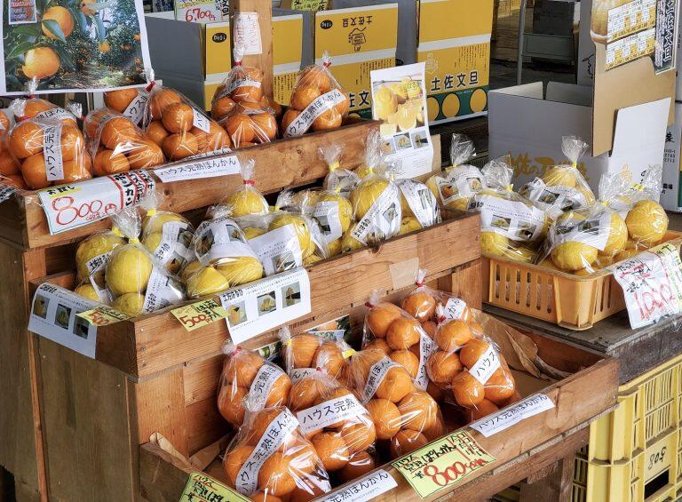 季節毎の柑橘類を販売