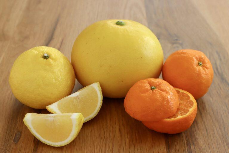 季節毎の柑橘類を販売