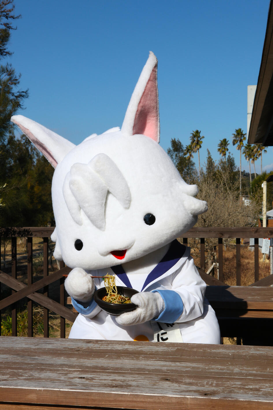 こーにゃんって知っちゅう?