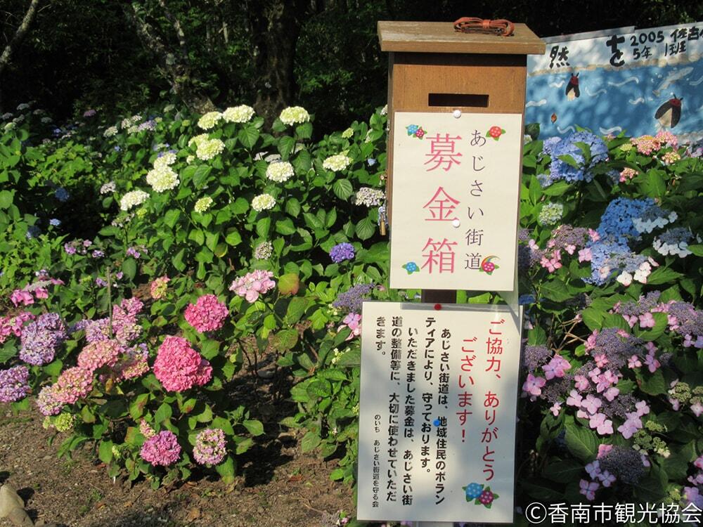 設置されている募金箱の写真/のいちあじさい街道/©香南市観光協会