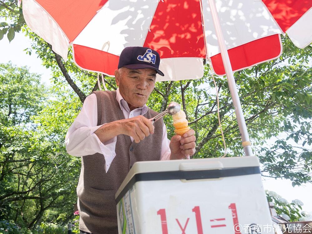 アイスクリン・あじさいの苗等の販売をする「のいちあじさい街道を守る会」会長　横田博さん/のいちあじさい街道/©香南市観光協会