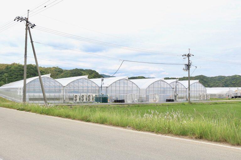 「くぼファーム」の圃場(ほじょう)は海に近いため、土壌には微量の塩分が含まれています